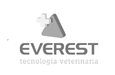 EVEREST